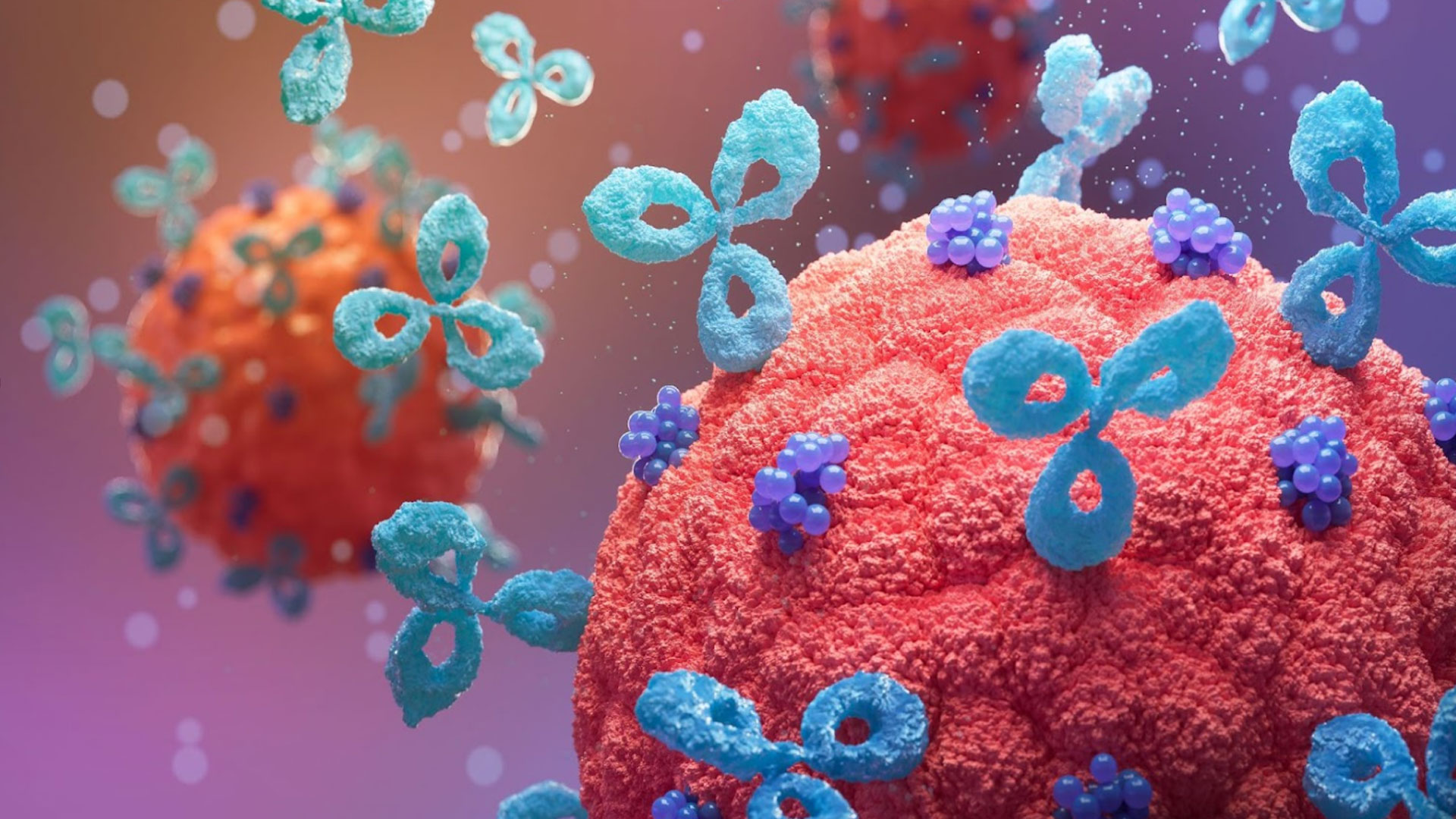Graphic of Immune System