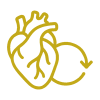 Heart and circulation icon